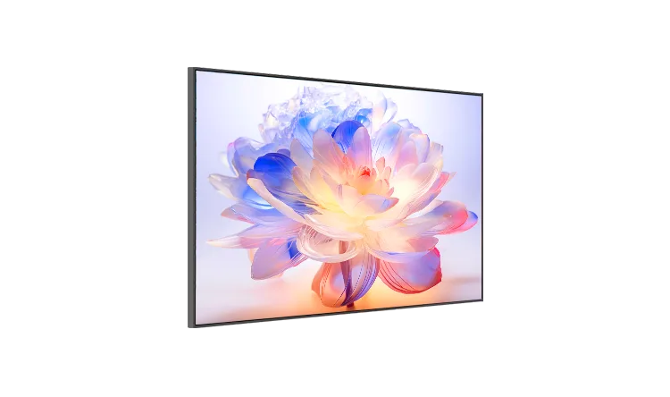 Q6 Series 55 Inch Wall Mount Digital Signage Display-1