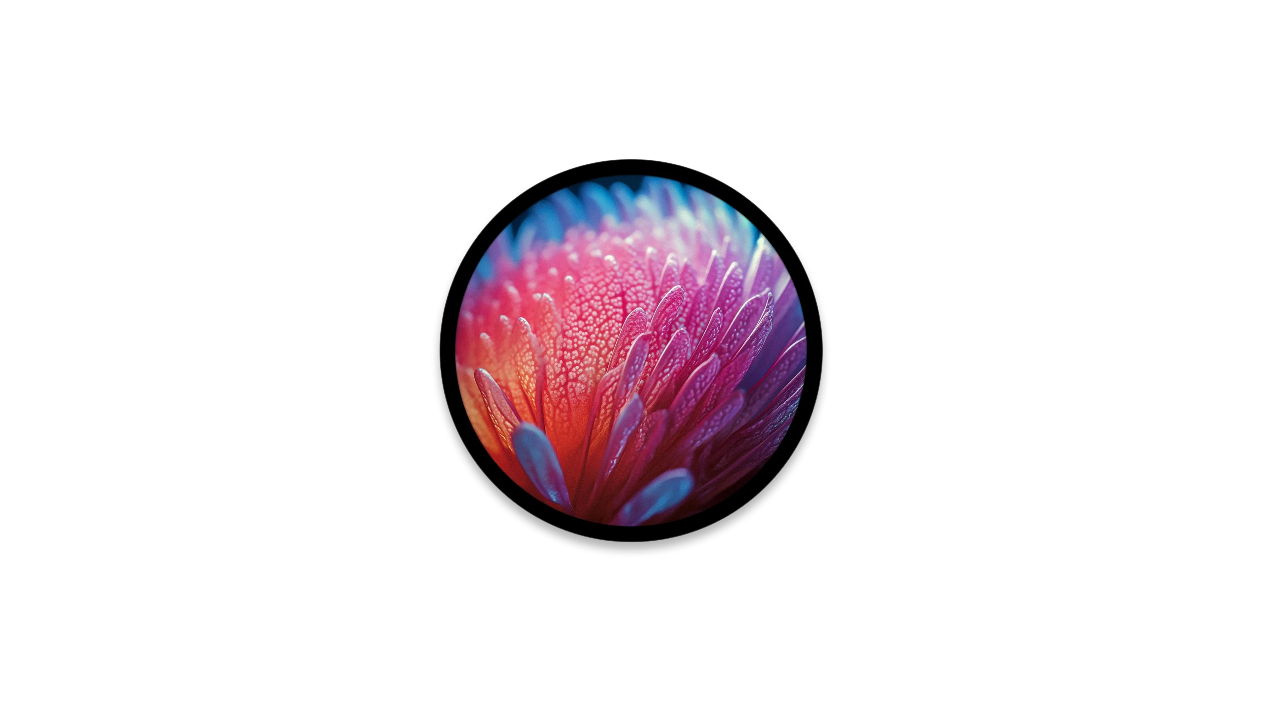 23.6inch Round LCD Display